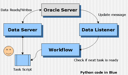 Figure A: Python plays a central role in data interaction